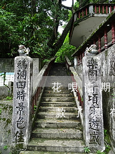 花唄逾期了半年沒還了(螞蟻花唄逾期半年還款了還有機(jī)會(huì)可以用嗎)