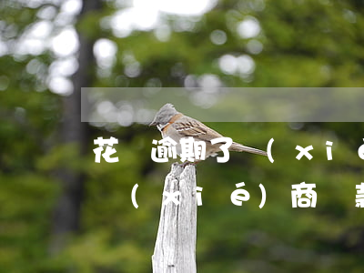 花唄逾期了協(xié)商還款(花唄逾期了協(xié)商還款)