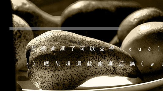 花唄逾期了可以交學(xué)費(fèi)嗎(花唄還款逾期后無(wú)法使用花唄購(gòu)物怎么辦)