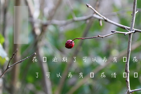 花唄逾期了可以再有錢花借錢嗎-花唄逾期了可以再有錢花借錢嗎安全嗎