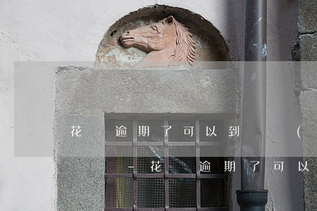 花唄逾期了可以到銀監(jiān)會去投訴嗎-花唄逾期了可以到銀監(jiān)會去投訴嗎有用嗎