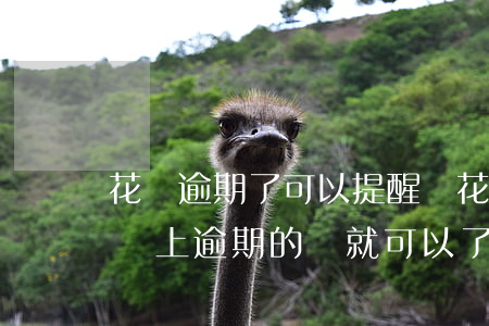 花唄逾期了可以提醒嗎(花唄逾期的話是不是還上逾期的錢就可以了)