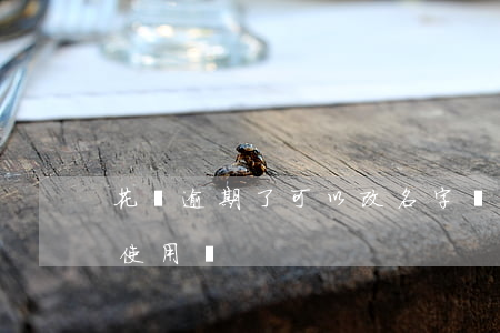 花唄逾期了可以改名字嗎(名字改了影響花唄使用嗎)
