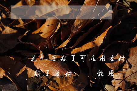 花唄逾期了可以用支付寶其他(支付寶花唄逾期了支付寶還能用嗎)