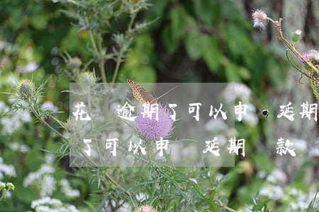 花唄逾期了可以申請延期還款嗎-花唄逾期了可以申請延期還款嗎怎么辦