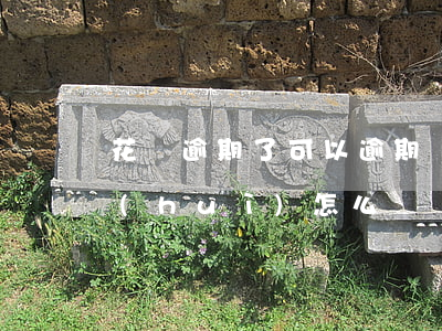 花唄逾期了可以逾期嗎(支付寶花唄逾期了會(huì)怎么樣嗎)