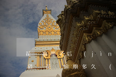 花唄逾期了后進(jìn)黑名單么(支付寶借唄花唄逾期多久會(huì)進(jìn)入黑名單)