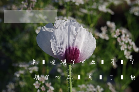 花唄逾期了四五個月還了還能用嗎-花唄逾期了四五個月還了還能用嗎怎么辦