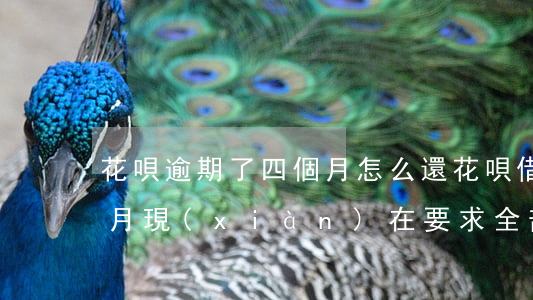 花唄逾期了四個月怎么還(花唄借唄逾期4個月現(xiàn)在要求全部結(jié)清)