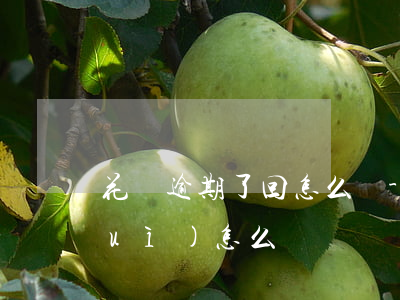 花唄逾期了回怎么樣-花唄逾期之后會(huì)怎么樣