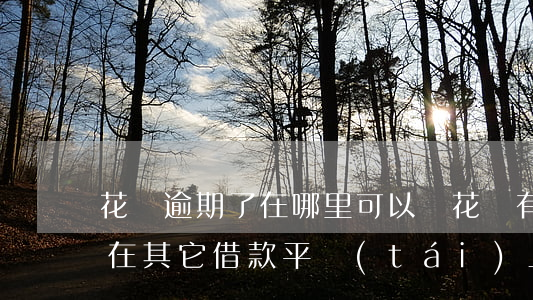 花唄逾期了在哪里可以貸(花唄有逾期還可以在其它借款平臺(tái)上借錢嗎)