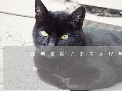 花唄逾期了多久才好啊(花唄逾期了多久才好啊)
