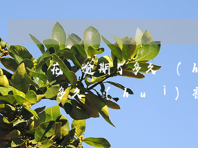 花唄逾期了多久會(huì)上門(花唄逾期多久會(huì)被起訴?花唄逾期多久會(huì)打電話)