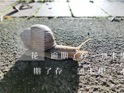花唄逾期了存錢到卡里會不會立馬-花唄逾期了存錢到卡里會不會立馬扣錢