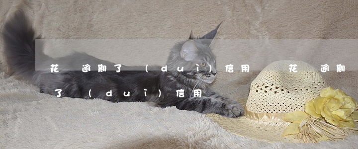 花唄逾期了對(duì)信用記錄(花唄逾期了對(duì)信用記錄)