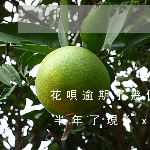 花唄逾期了幾個(gè)月慢慢還(花唄逾期半年了,現(xiàn)在還了,多久可以恢復(fù)使用)