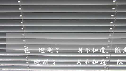 花唄逾期了幾個月不知道還能坐飛機嗎-花唄逾期了幾個月不知道還能坐飛機嗎怎么辦