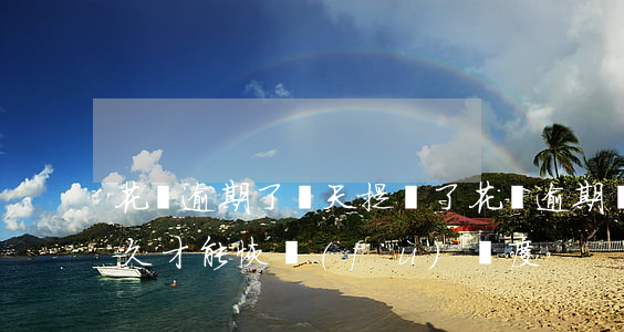 花唄逾期了幾天提額了(花唄逾期還款以后多久才能恢復(fù)額度)
