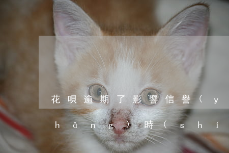 花唄逾期了影響信譽(yù)嗎(花唄長(zhǎng)時(shí)間逾期不還跟個(gè)人征信有啥關(guān)系嗎)