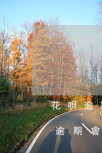 花唄逾期了影響備用金嗎(支付寶備用金花唄逾期會(huì)影響什么)