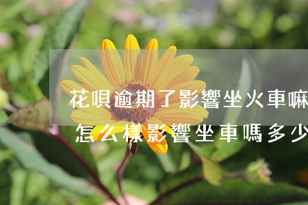 花唄逾期了影響坐火車嘛(花唄逾期幾年后話怎么樣影響坐車嗎多少錢會(huì)影響)