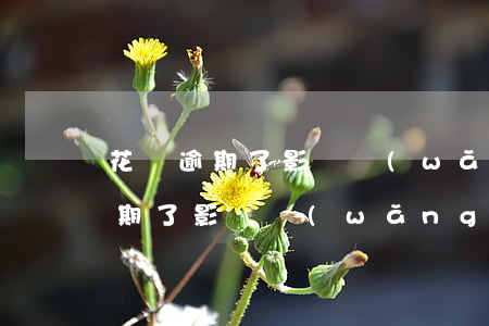 花唄逾期了影響網(wǎng)貸嗎(花唄逾期了影響網(wǎng)貸嗎)