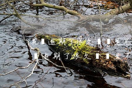 花唄逾期了很久沒還是不是會告上法庭-花唄逾期了很久沒還是不是會告上法庭了