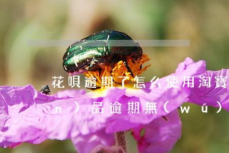 花唄逾期了怎么使用淘寶(花唄有產(chǎn)品逾期無(wú)法使用花唄怎么回事)