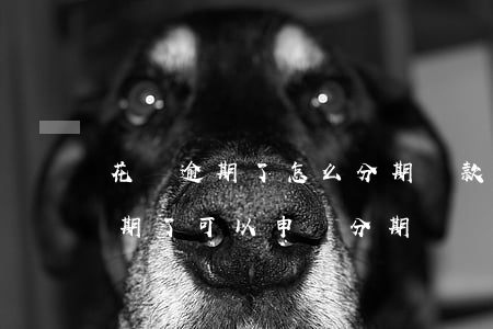 花唄逾期了怎么分期還款(支付寶螞蟻花唄逾期了可以申請分期嗎)