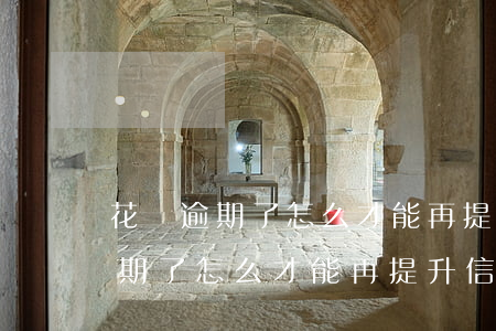 花唄逾期了怎么才能再提升信譽度-花唄逾期了怎么才能再提升信譽度呢