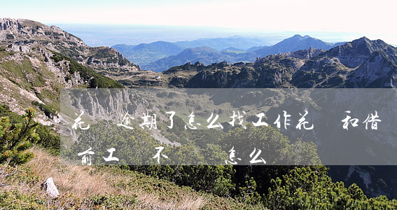 花唄逾期了怎么找工作(花唄和借唄逾期了,目前工資不夠還怎么辦?)