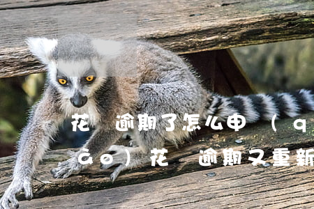 花唄逾期了怎么申請(qǐng)小號(hào)(花唄逾期又重新注冊(cè)了個(gè)小號(hào)會(huì)被扣款嗎)
