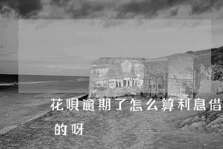 花唄逾期了怎么算利息(借唄逾期利息怎么算的呀?)