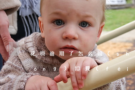 花唄逾期了怎么設(shè)置他自動(dòng)扣費(fèi)-花唄逾期怎么設(shè)置不從余額自動(dòng)扣錢