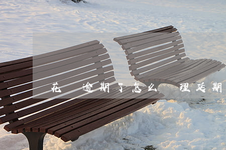 花唄逾期了怎么辦理延期(花唄如何延期還款)
