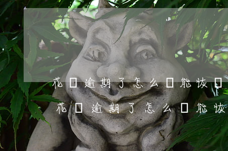 花唄逾期了怎么還能恢復(fù)正常嗎-花唄逾期了怎么還能恢復(fù)正常嗎知乎
