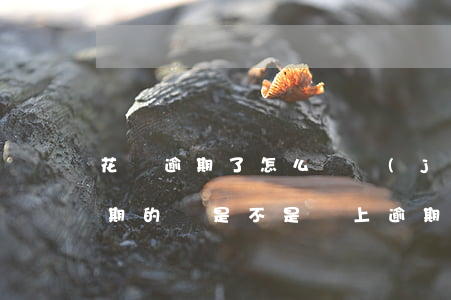 花唄逾期了怎么還進(jìn)去了(花唄逾期的話是不是還上逾期的錢就可以了)