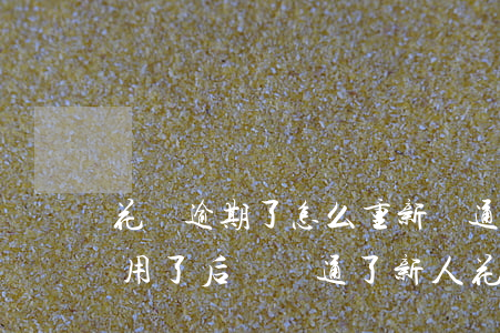 花唄逾期了怎么重新開通(之前花唄逾期不能用了后來開通了新人花唄)