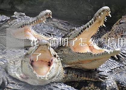 花唄逾期了怎么長信用分(信用卡和花唄逾期了會怎樣)