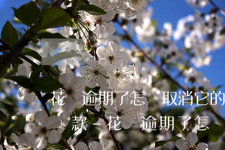 花唄逾期了怎樣取消它的自動(dòng)還款-花唄逾期了怎樣取消它的自動(dòng)還款業(yè)務(wù)
