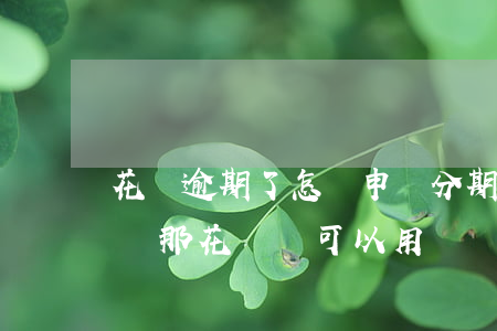 花唄逾期了怎樣申請分期(花唄逾期賬單分期還,那花唄還可以用嗎)