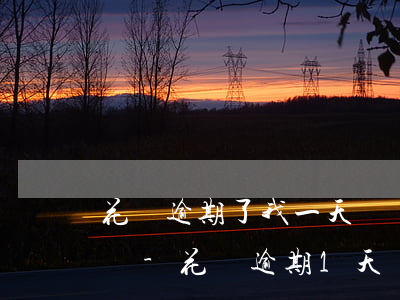 花唄逾期了我一天還點(diǎn)可以用嗎-花唄逾期1天還了之后可以繼續(xù)使用嗎