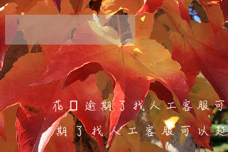 花唄逾期了找人工客服可以延期嗎-花唄逾期了找人工客服可以延期嗎多久