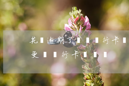 花唄逾期了換張銀行卡(螞蟻花唄的分期可以更換銀行卡來還嗎)