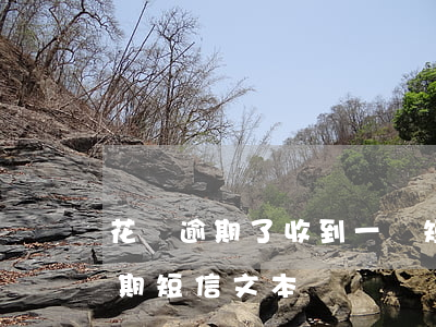 花唄逾期了收到一條短信(支付寶花唄收到逾期短信文本)