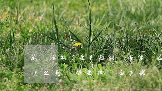 花唄逾期了收到短信說寄律師函是真的嗎-怎么判斷催收律師函真假