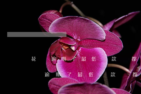 花唄逾期了,最低還款額都做不到,怎么辦-花唄逾期了,最低還款額都做不到,怎么辦
