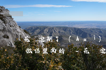 花唄逾期了會(huì)不會(huì)扣微信里面的錢-花唄逾期了會(huì)不會(huì)扣微信里面的錢呢