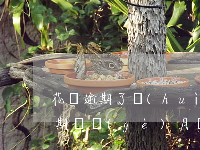 花唄逾期了會(huì)影響子女嗎(花唄逾期幾個(gè)月會(huì)有什么后果,有獎(jiǎng)問(wèn)答)