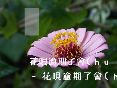 花唄逾期了會(huì)影響辦理信用卡嗎-花唄逾期了會(huì)影響辦理信用卡嗎知乎
